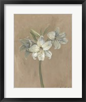 Blooms & Stems IV Fine Art Print