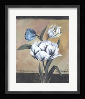 White Tulips I Framed Print