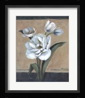 White Tulips II Framed Print