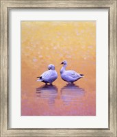 Dawn Meditation Fine Art Print