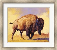 Tatanka Fine Art Print