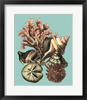 Printed Shell & Coral Collection II Fine Art Print
