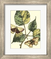 Butterflies & Leaves II Fine Art Print