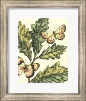 Butterflies & Leaves III Fine Art Print