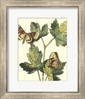 Butterflies & Leaves IV Fine Art Print