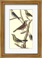 Bird Family I Fine Art Print