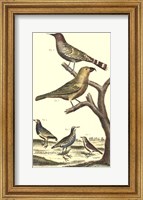 Bird Family II Fine Art Print