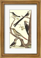 Bird Family III Fine Art Print