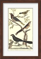 Bird Family IV Fine Art Print