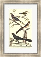 Bird Family IV Fine Art Print