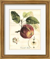 Tuscan Fruits I Fine Art Print