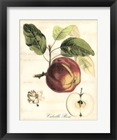 Tuscan Fruits I Fine Art Print