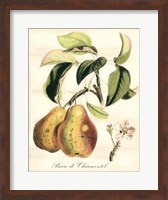 Tuscan Fruits IV Fine Art Print