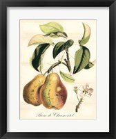 Tuscan Fruits IV Fine Art Print