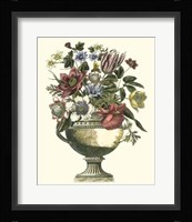 Floral Splendor II Framed Print