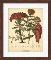 Botanicals II Fine Art Print