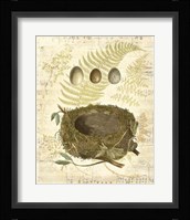 Melodic Nest & Eggs I Fine Art Print