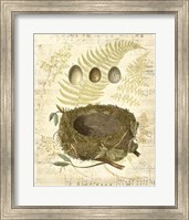 Melodic Nest & Eggs I Fine Art Print
