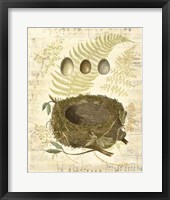 Melodic Nest & Eggs I Fine Art Print
