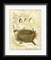 Melodic Nest & Eggs II Fine Art Print