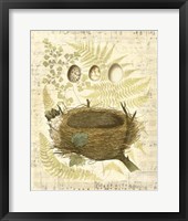 Melodic Nest & Eggs II Fine Art Print