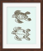 Loggerhead Turtles II Fine Art Print