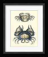 Antique Blue Crabs I Framed Print