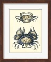 Antique Blue Crabs I Fine Art Print