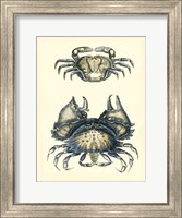 Antique Blue Crabs I Fine Art Print