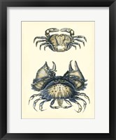 Antique Blue Crabs I Framed Print