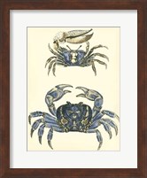 Antique Blue Crabs II Fine Art Print