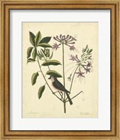Bird & Botanical I Fine Art Print