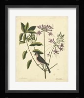 Bird & Botanical I Fine Art Print