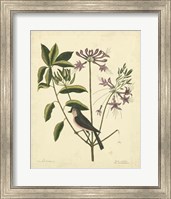 Bird & Botanical I Fine Art Print