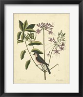 Bird & Botanical I Fine Art Print