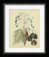 Bird & Botanical II Fine Art Print