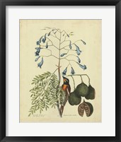 Bird & Botanical II Fine Art Print