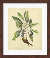Bird & Botanical V Fine Art Print