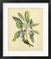 Bird & Botanical V Fine Art Print