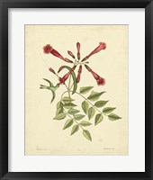 Bird & Botanical VI Fine Art Print