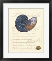 Romance of the Shell I Framed Print