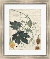 Botanical by Descube I Fine Art Print