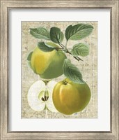 Orchard Medley I Fine Art Print