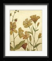 Wildflower Field I Framed Print