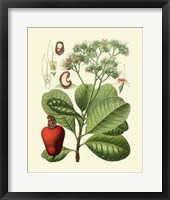 Botanical Glory V Fine Art Print