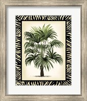 Palm in Zebra Border I Fine Art Print