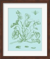 Spring Cyclamen II Fine Art Print