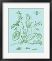 Spring Cyclamen II Framed Print