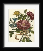 Floral Posy II Fine Art Print