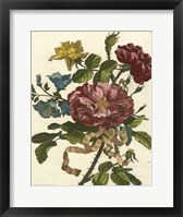 Floral Posy II Fine Art Print